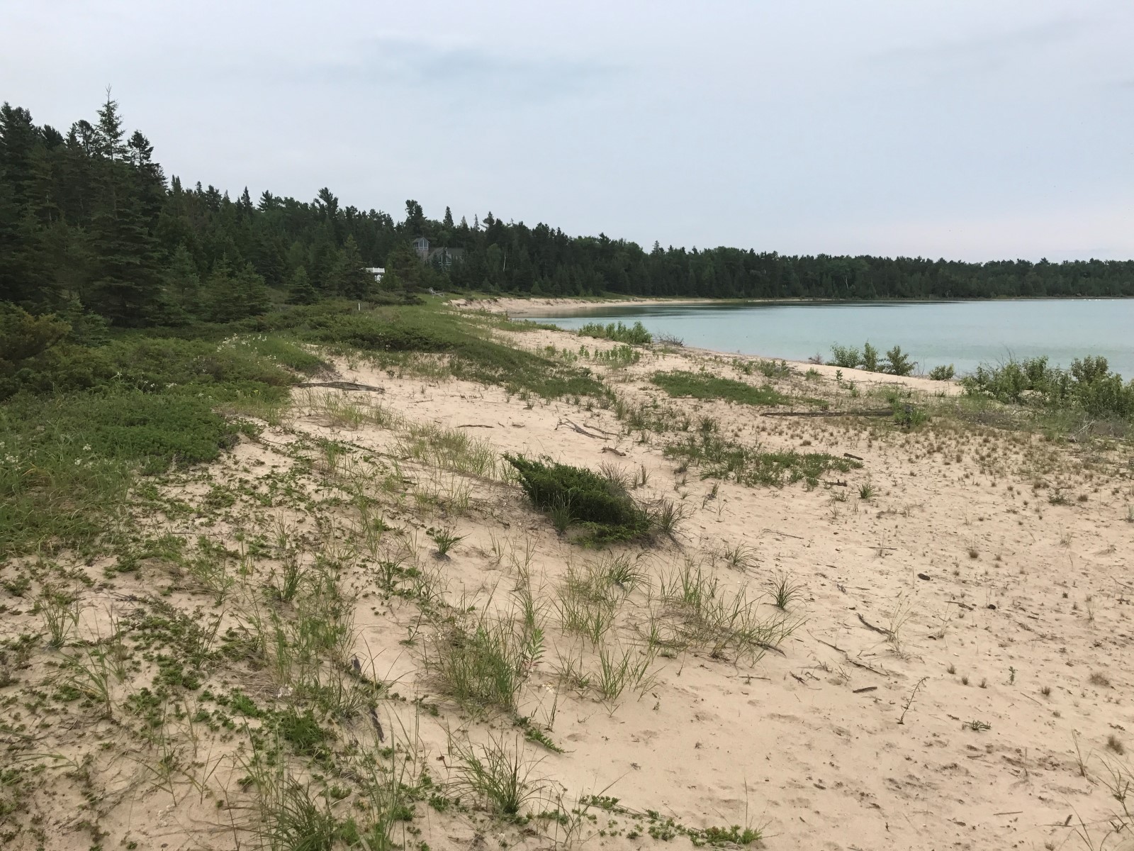 500 Feet Of Lake Michigan Frontage Price Reduced Beaver Island