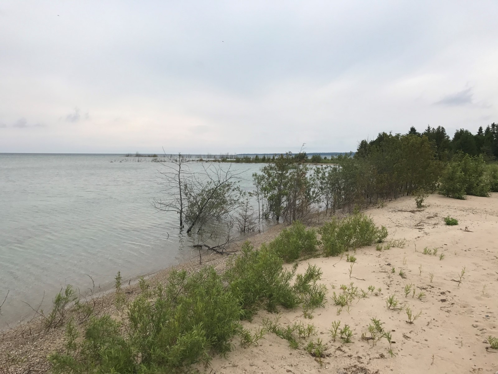 500 Feet Of Lake Michigan Frontage Price Reduced Beaver Island