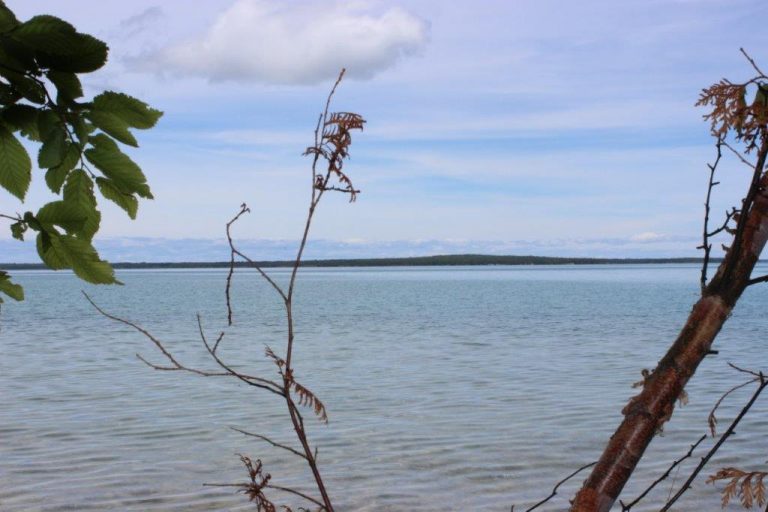 For Sale Beaver Island Realty