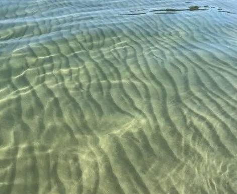 the-neon-beaver-clear-water-sandy-bottom